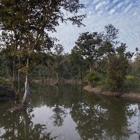 Wowstayz Pachmarhi Ecotel Εξωτερικό φωτογραφία